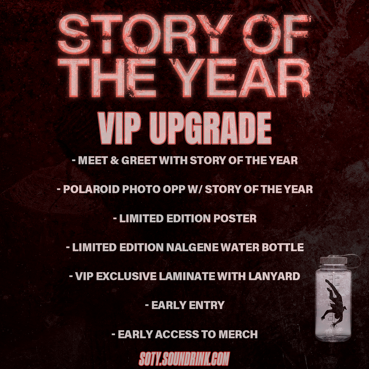 Story of The Year Summer 2025 VIP Upgrades